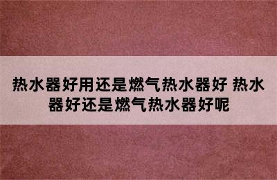 热水器好用还是燃气热水器好 热水器好还是燃气热水器好呢